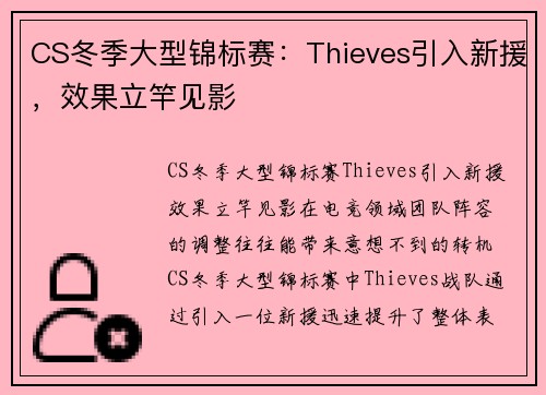 CS冬季大型锦标赛：Thieves引入新援，效果立竿见影