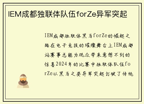 IEM成都独联体队伍forZe异军突起