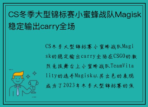 CS冬季大型锦标赛小蜜蜂战队Magisk稳定输出carry全场