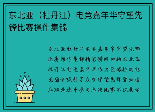 东北亚（牡丹江）电竞嘉年华守望先锋比赛操作集锦