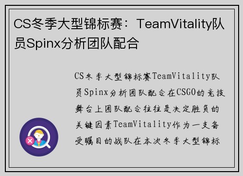 CS冬季大型锦标赛：TeamVitality队员Spinx分析团队配合